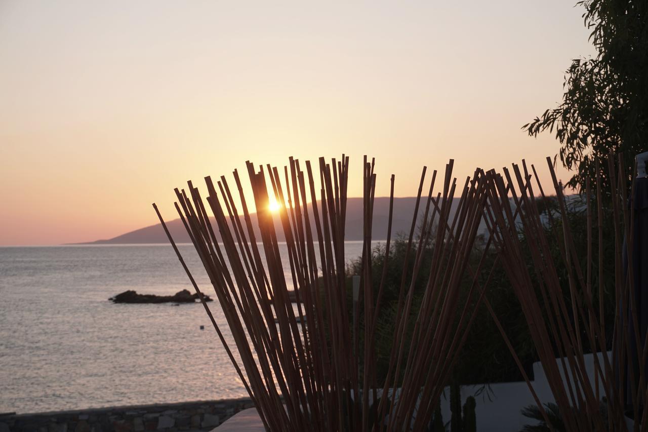 Pyrthea Houses Koufonisia エクステリア 写真